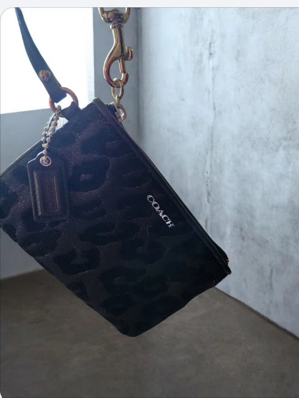 Coach small coin